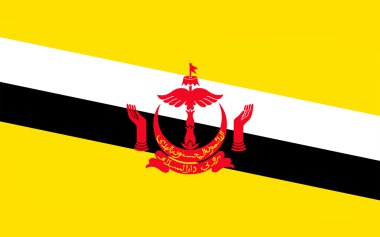 brunei bayrağı