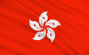 Hong Kong bayrağı