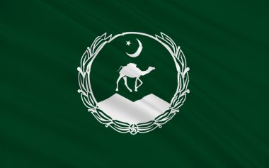 : Balochistan, Pakistan bayrağı