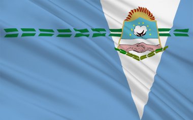 Formosa eyaleti bayrağı bir Arjantin ilçesidir