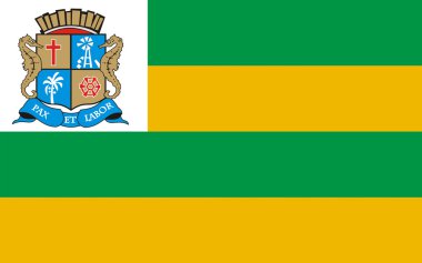 Aracaju Sergipe, Brezilya bayrağı
