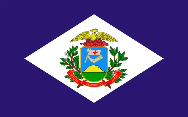 Flag of Mato Grosso, Brazil — Stock Photo, Image