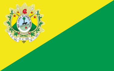 Acre Brezilya bayrağı