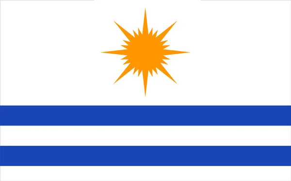 팔 마스 토칸칭스 주, 브라질에서의 국기 — 스톡 사진