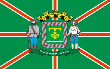 Goiania Goias, Brezilya bayrağı