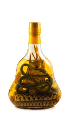 Zehirli yılan üzerinde alkol tentür
