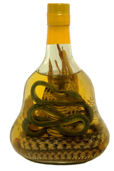 Alcohol tincture on poisonous snakes in bottle