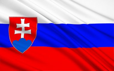 Slovakya bayrağı