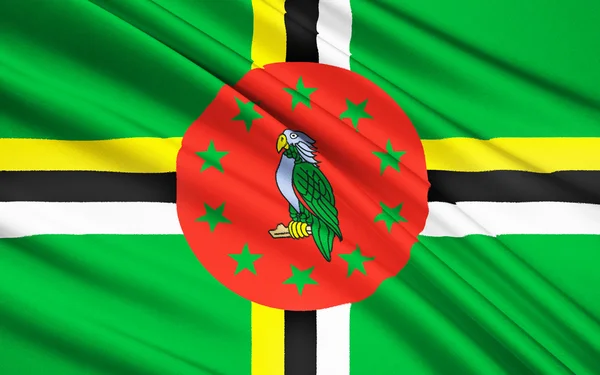 Flag of Dominica, Roseau — Stock Fotó