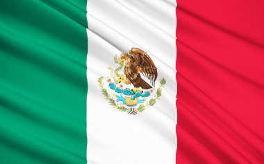 Meksika, Mexico City'de bayrağı