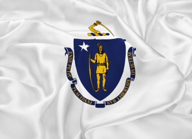 Massachusetts eyalet bayrağı