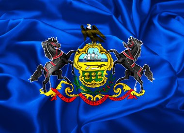 pennsylvania eyalet bayrağı