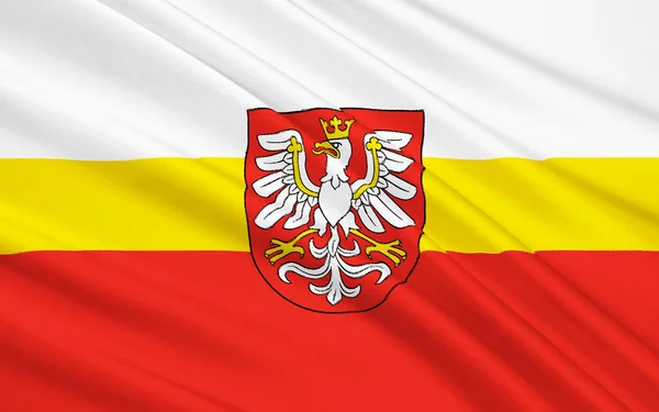 Σημαία της μικρότερο Πολωνία Voivodeship της Νότιας Πολωνίας — Φωτογραφία Αρχείου