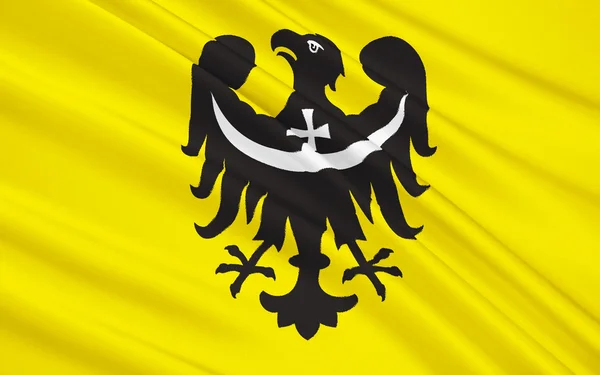 Σημαία της Κάτω Σιλεσίας Voivodeship ή κάτω Σιλεσία επαρχία στην — Φωτογραφία Αρχείου
