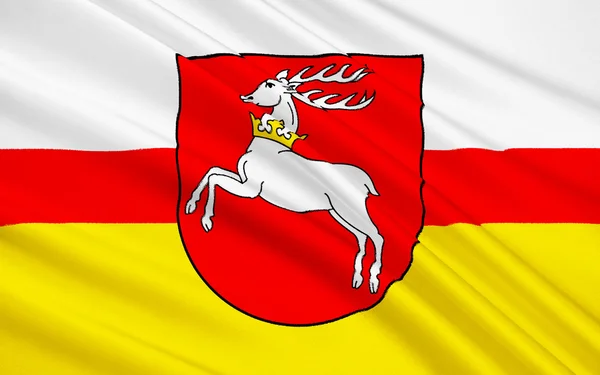 Flagga Lublin i sydöstra Polen — Stockfoto