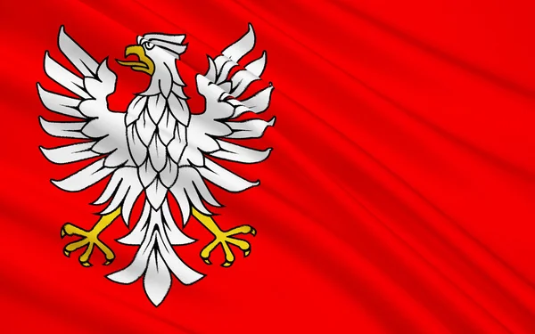 Masovian Voyvodalığı veya Doğu Pola Mazovia bölge bayrağı