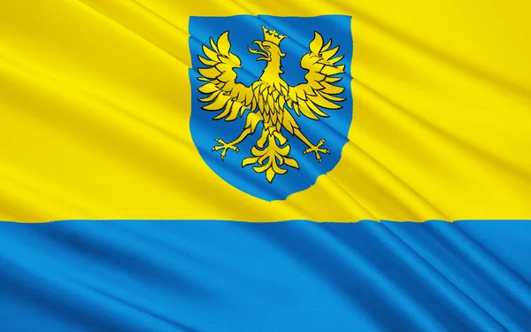 Прапор Опольське воєводство, Польща — стокове фото