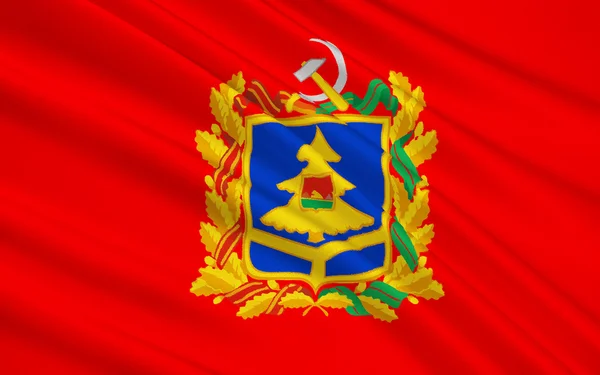 Vlag van Brjansk Oblast, Rusland — Stockfoto