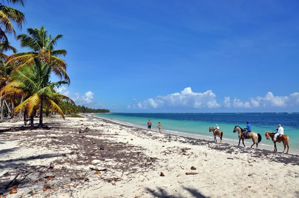 Praia caribenha e areia branca — Fotografia de Stock