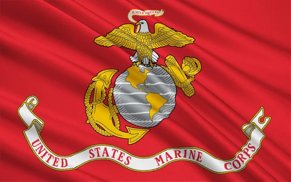 Vlajka Spojených států amerických ozbrojených sil — Stock fotografie