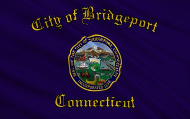 State Flag of Bridgeport - a city in the United States, in Conne
