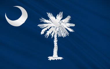 Güney Carolina eyalet bayrağı