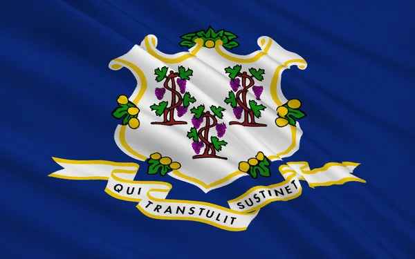 Bandera del Estado de Connecticut —  Fotos de Stock