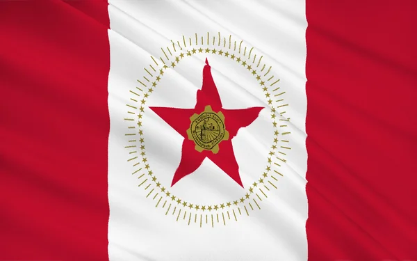 Bandiera di Stato di Birmingham - la città più grande dello stato americano di A — Foto Stock