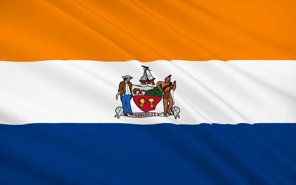 Bandiera di Stato di Albany - una città nel nord-est degli Stati Uniti — Foto Stock