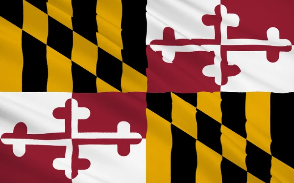 Drapeau de l'État du Maryland — Photo