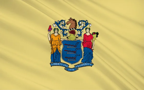 뉴저지의 국가 깃발 — 스톡 사진
