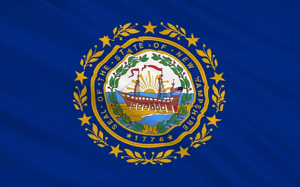 Bandeira do Estado de New Hampshire — Fotografia de Stock