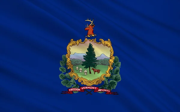 Statligt flagga Vermont — Stockfoto