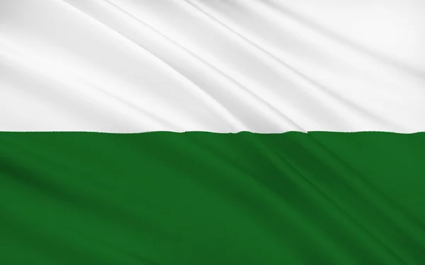 Flagge Sachsens, des Freistaates Sachsen - als Teil des Bundes — Stockfoto