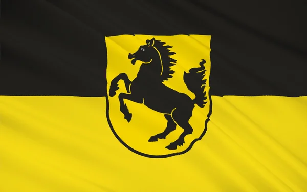 Bandera de Stuttgart —  Fotos de Stock