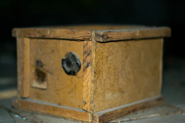 Vieja colocación en una caja de madera —  Fotos de Stock