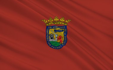 Flag of Alava or Araba is a province of Spain