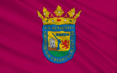 Flag of Alava or Araba is a province of Spain