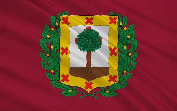 Flag of Biscay is a province of Spain — Zdjęcie stockowe