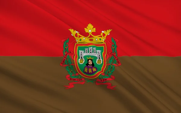 Flag of Burgos is a city of northern Spain — Φωτογραφία Αρχείου