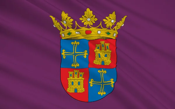 Bandeira de Palencia é uma cidade do norte da Espanha — Fotografia de Stock