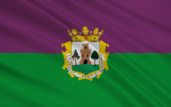 Flag of Plasencia is a walled market city in Spain — 스톡 사진