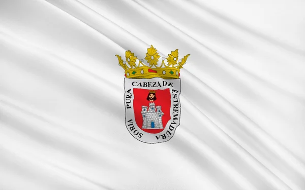 Flag of Ciudad Real (Royal City) is a city in Castile La Manch — Zdjęcie stockowe