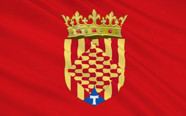 Tarragona bayrağı Doğu İspanya'nın bir ilçesidir — Stok fotoğraf