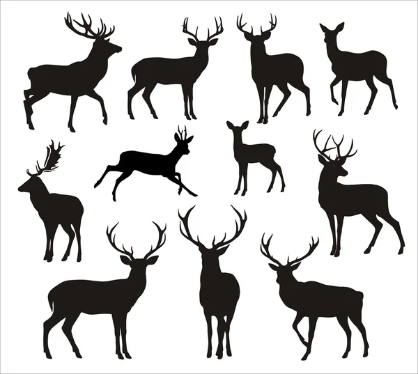 Graphic black silhouettes of wild deers — Stock Vector