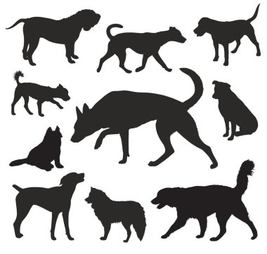 Köpek siluetleri vektör