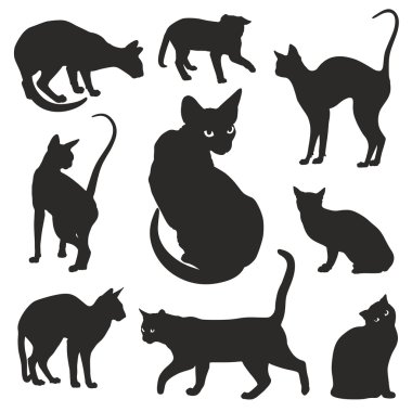 Kediler siluetleri vektör grafik set
