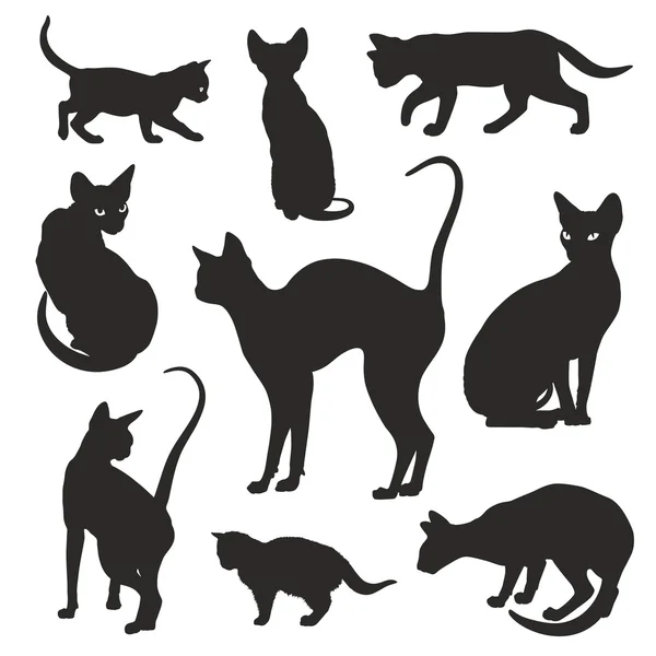 Silhouettes de chats ensemble vectoriel graphique — Image vectorielle