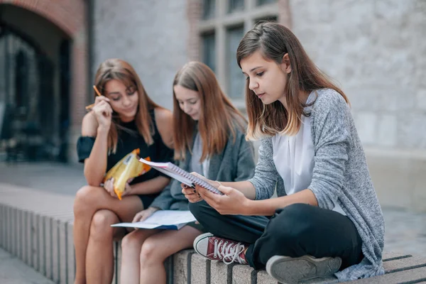 Три девушки сидят на улице и учатся. Городской бак Лицензионные Стоковые Изображения