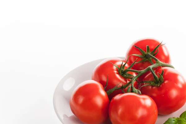 Tomates vermelhos frescos com gotas de água — Fotografia de Stock